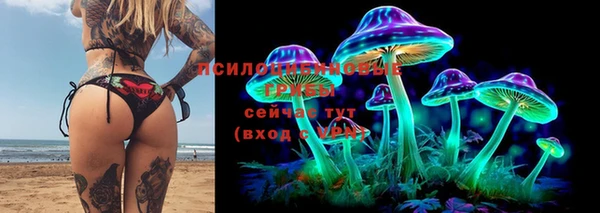мдма Дмитриев
