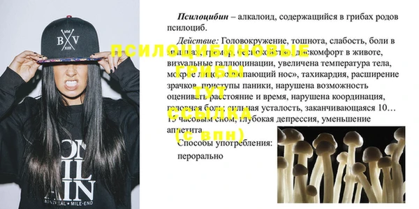 прущий лед Дмитровск